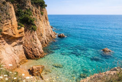 Villa in Girona, Provinz Girona