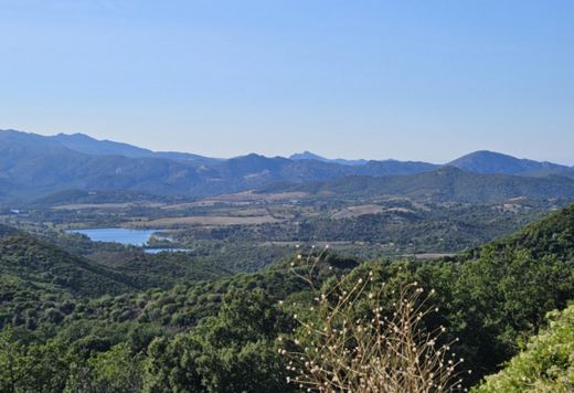 Olmeta-di-Tuda, Upper Corsicaの一戸建て住宅