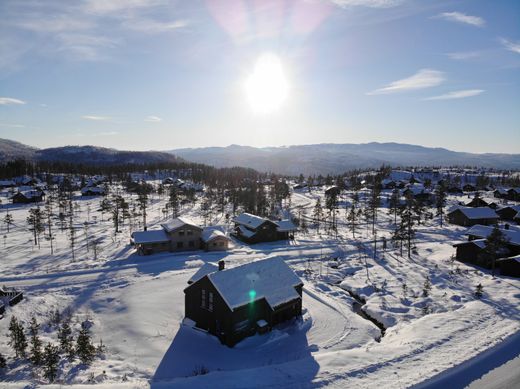 Luxury Homes Norway for sale - Prestigious Villas and Apartments in ... - Norwegian Luxury Properties