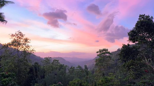 Гостиница, Канди, Central Province