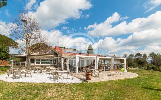 Villa Greve in Chianti, Firenze ilçesinde