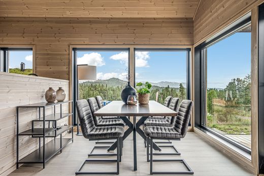 View of Luxury Homes Norway for sale - Prestigious Villas and Apartments in ...