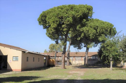 Country House in Ardea, Rome