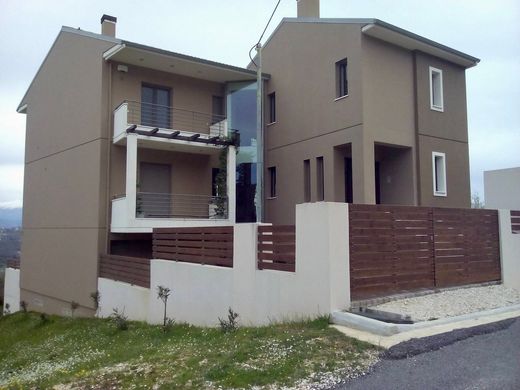 Ioánnina, Nomós Ioannínonの一戸建て住宅