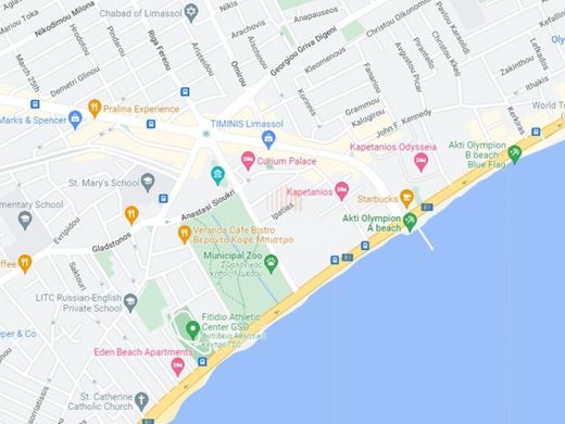 Arsa Limasol, Limassol District