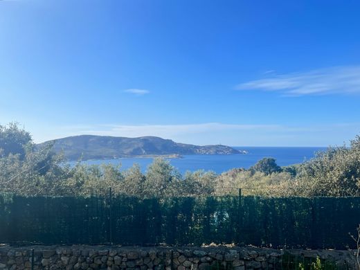 Land in Calvi, Upper Corsica