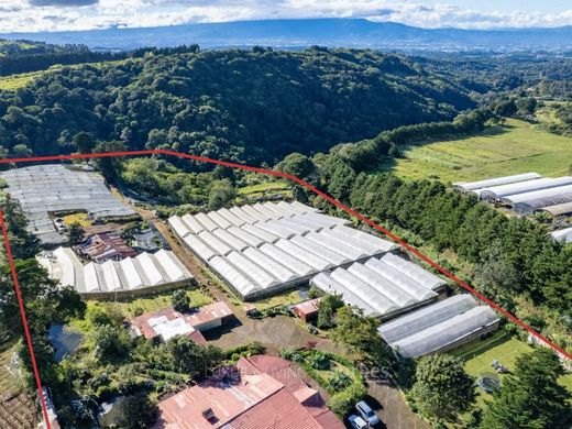 Boerderij in Sabanilla, Cantón de Alajuela