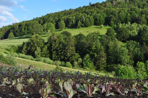 Çiftlik evi Dolleren, Haut-Rhin