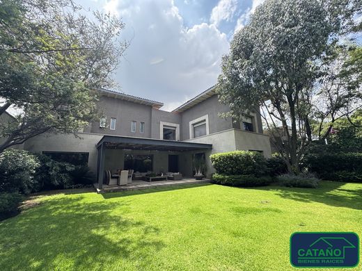 Detached House in Mexico City, The Federal District