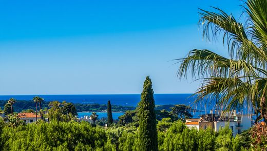 ‏וילה ב  קאן, Alpes-Maritimes