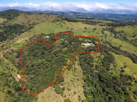 Piedades Sur, San Ramónの高級住宅