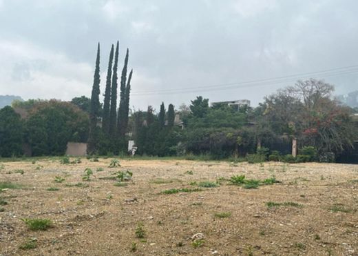 Grundstück in San Pedro Garza García, Nuevo León