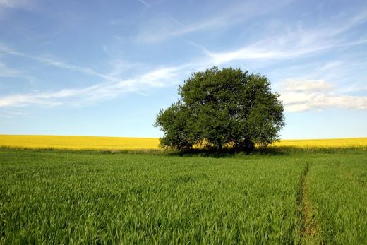 Гостиница, Мадрид, Provincia de Madrid