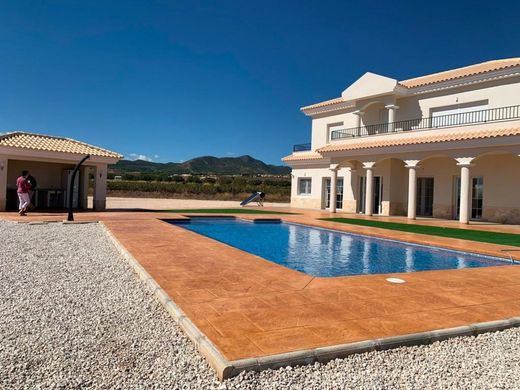 Luxury home in Pinoso, Alicante