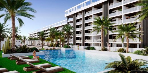 Apartment in Torrevieja, Alicante