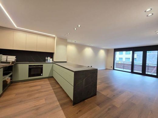 Apartment in Sant Miquel d'Engolasters, Escaldes-Engordany