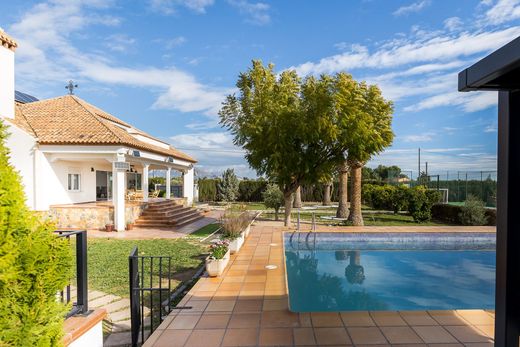 Luxury home in San Vicent del Raspeig, Alicante