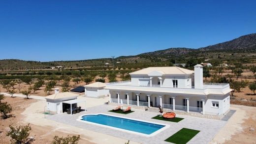 Luxury home in Pinoso, Alicante