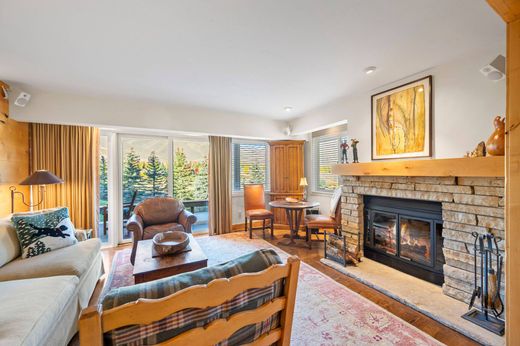 Sun Valley, Blaine Countyのアパートメント