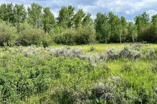 Arsa Driggs, Teton County