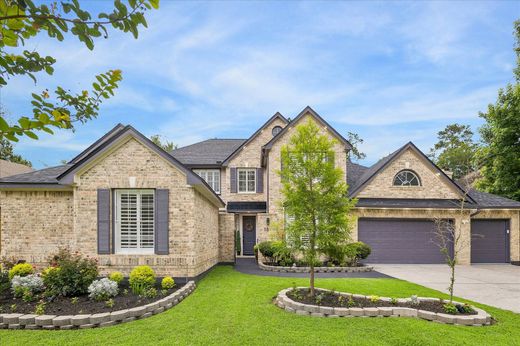 Einfamilienhaus in The Woodlands, Montgomery County
