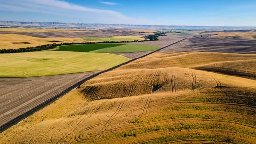 Terreno - Walla Walla, Walla Walla County