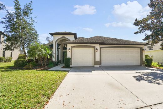 Detached House in Lithia, Hillsborough County