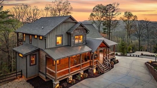 단독 저택 / Blue Ridge, Fannin County
