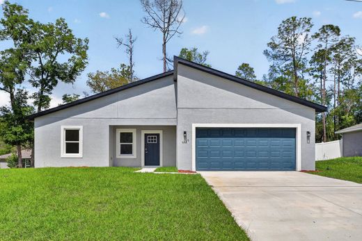 Einfamilienhaus in Citrus Springs, Citrus County