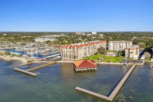 ‏דירה ב  Dunedin, Pinellas County