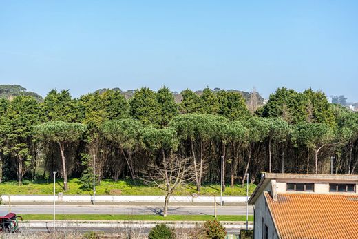 Detached House in Porto, Distrito do Porto