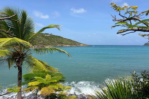 Villa in Marigot