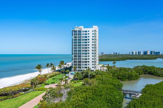 Apartment / Etagenwohnung in Naples, Collier County