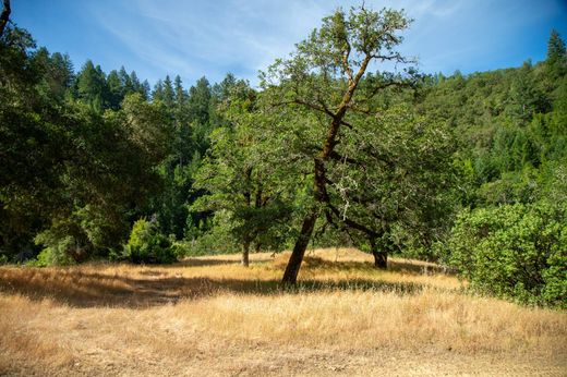 Terrain à Healdsburg, Comté de Sonoma