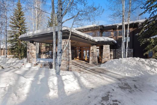 Detached House in Aspen, Pitkin County