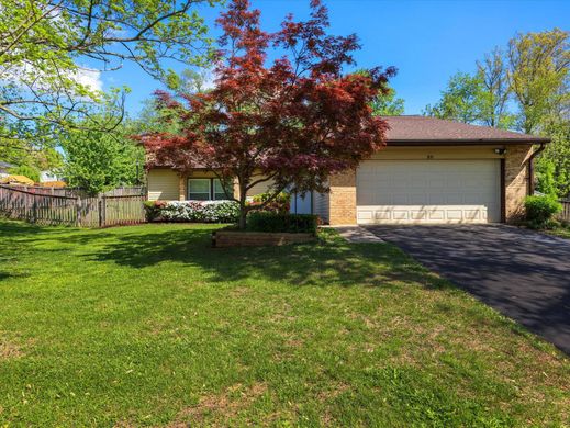 Lüks ev Sterling, Loudoun County