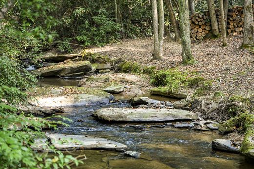 Arsa Mineral Bluff, Fannin County