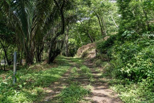Terreno en Nosara, Nicoya