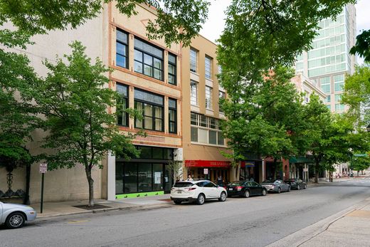 단독 저택 / Asheville, Buncombe County