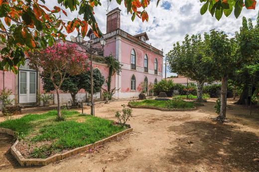 Chamusca, Distrito de Santarémの高級住宅