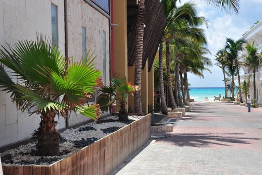 Grond in Playa del Carmen, Solidaridad