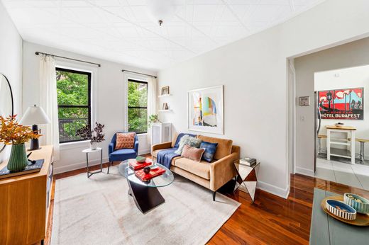 Luxury home in Brooklyn, Kings County