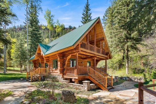 Частный Дом, Redstone, Pitkin County