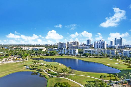 Apartment in Hallandale, Broward County