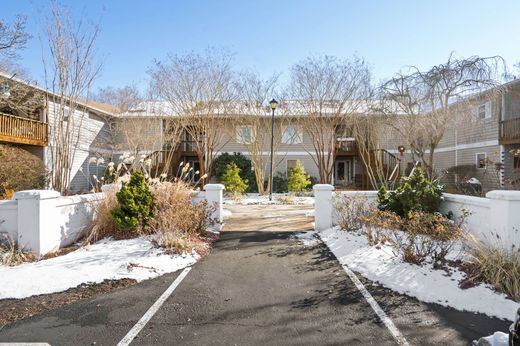 Vrijstaand huis in Lewes, Sussex County