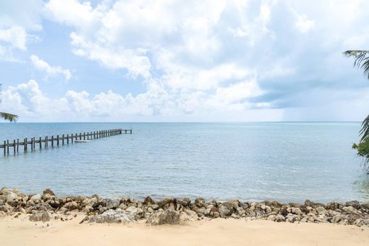 단독 저택 / Islamorada, Monroe County