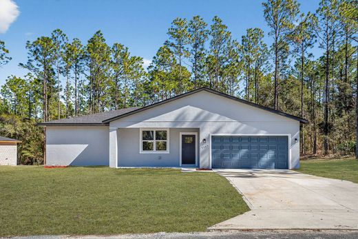 Einfamilienhaus in Citrus Springs, Citrus County