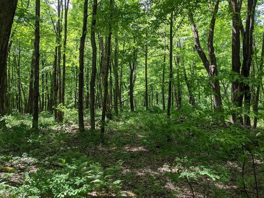 地皮  Kent, Litchfield County