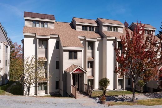 ﺷﻘﺔ ﻓﻲ Stratton, Windham County