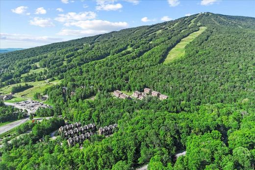 Appartement in Dover, Windham County